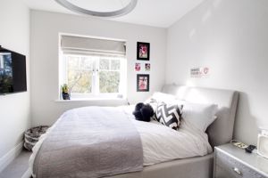 Photo 9- click for photo gallery